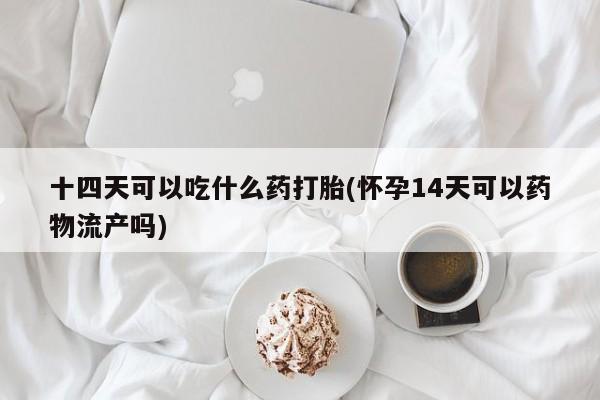 米非司酮片网上药店购买方式十四天可以吃什么药打胎(怀孕14天可以药物流产吗)